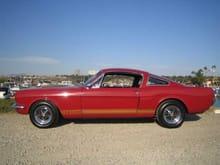 Mustang Photo Archive 1964 1/2 - 1966 Mustangs 1966 Mustang 1966 Shelby Mustangs 1966 Shelby GT350H