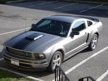 Mustang 56