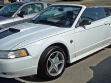 Mustang Photo Archive 1999-2004 Mustangs 1999 Mustang 1999 Mustang GT 1999 35th Anniversary GT