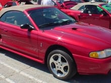 Mustang Photo Archive 1994-1998 Mustangs 1997 Mustang 1997 SVT Cobra