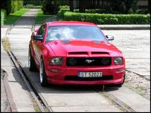 mustang01