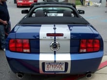 2008 shelby gt 3 972717