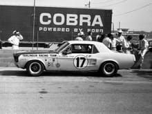 Mustang Race Cars Road Course/Endurance Racers 1967 SCCA Shelby Terlingua Racing Team