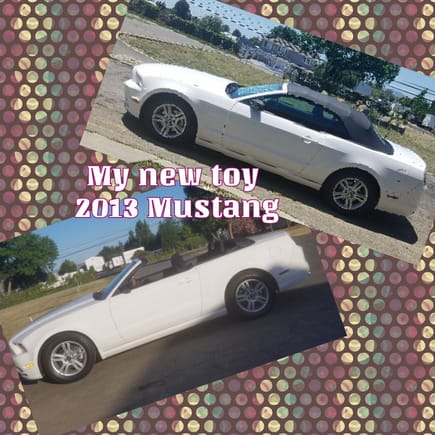 My 2013 Mustang. I'm loving it