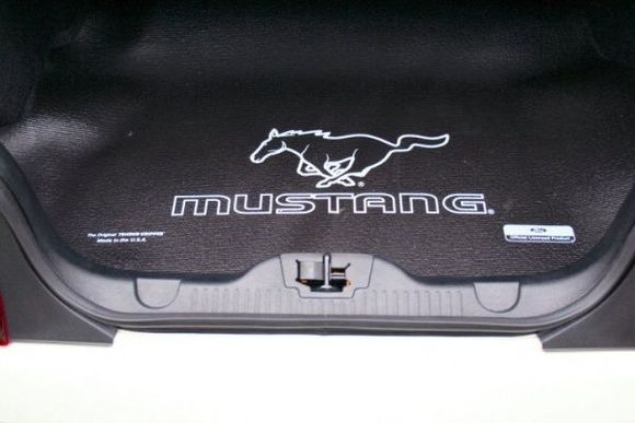 trunk mat