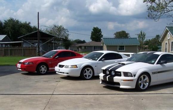 Mustangs 004