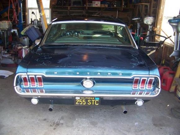 stang2