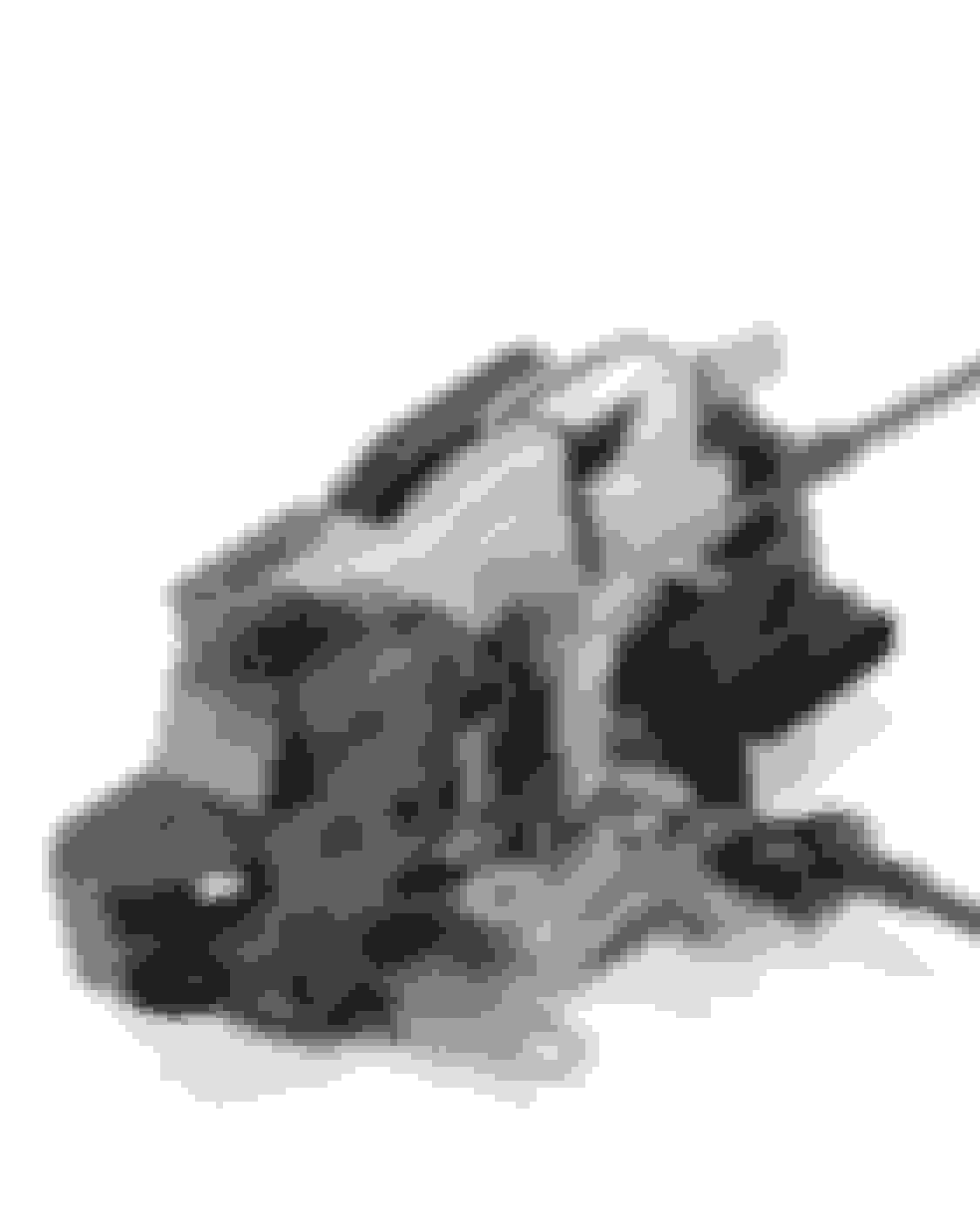 Passenger exterior handle won�t open door. Volvo Forums