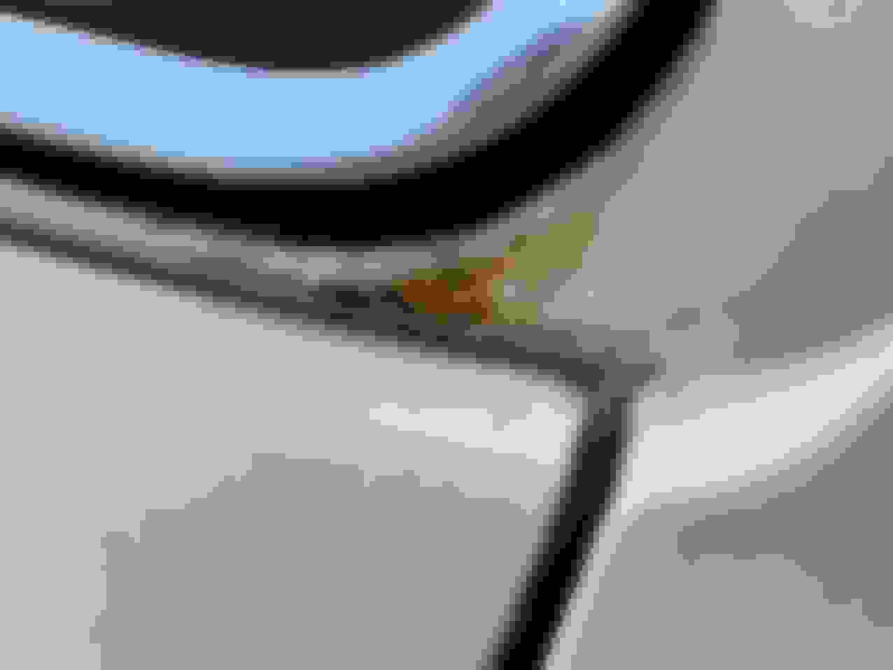 rust spot <img src=