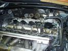 Oil Trap replacement