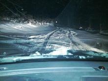 got to love it in the snow