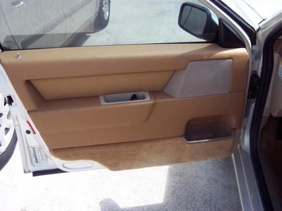 Redone door panel