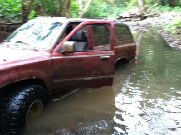 little fun in the water hole