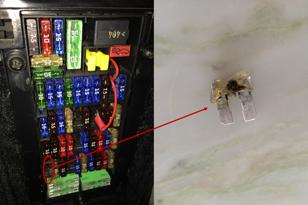 fuel pump fuse