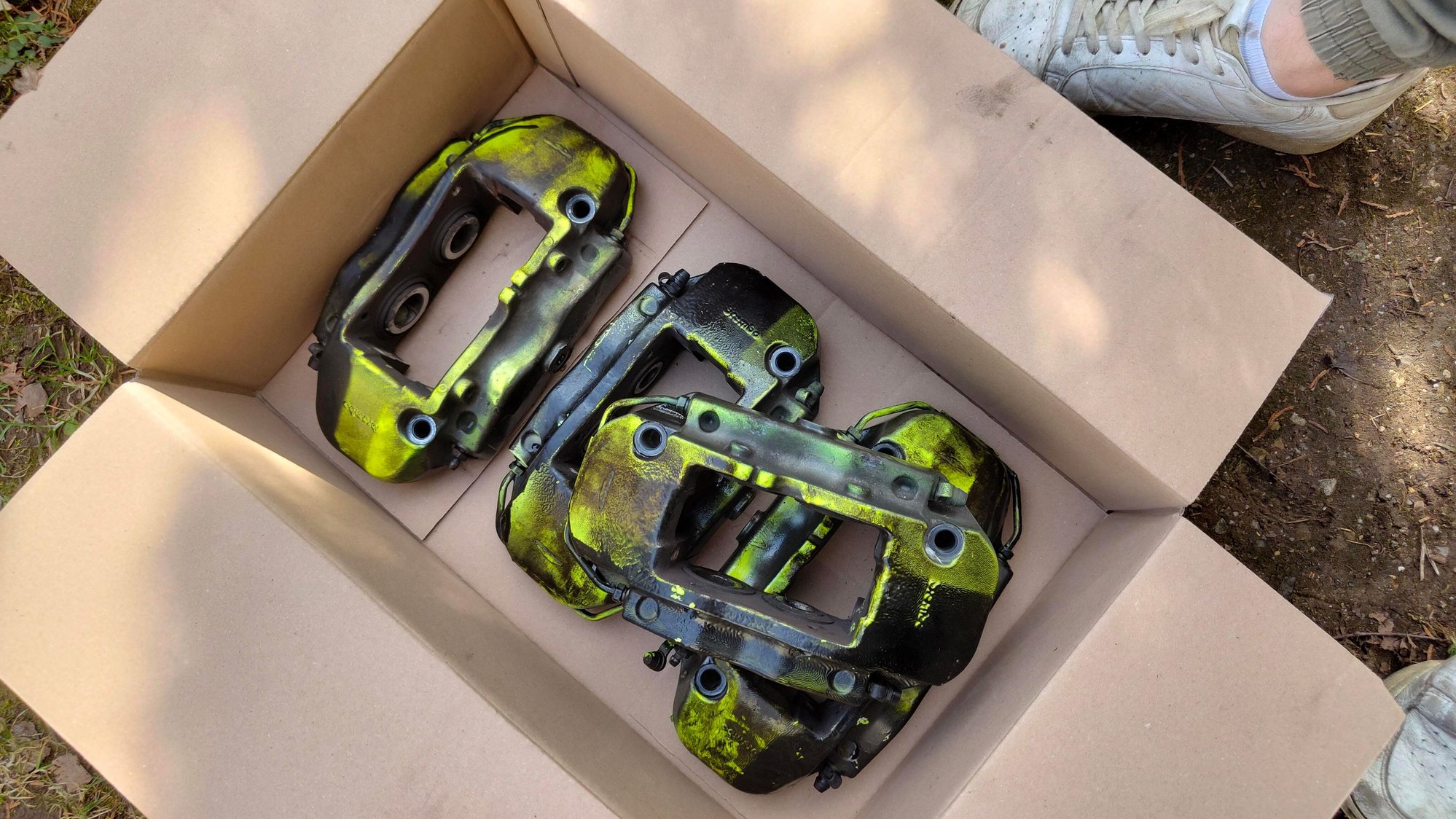 Ready for a their new shine