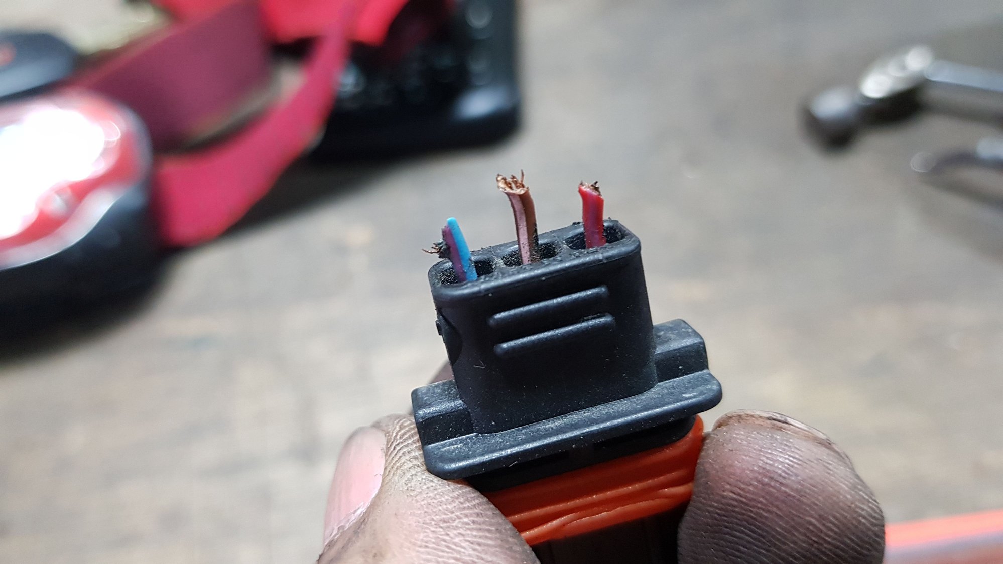 Mouse ate my fuel pressure sensor wires and many more!!! Grrrr