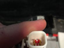 Plug has prongs