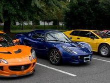 Lotus, new and old.