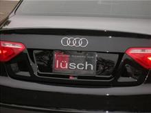 carbon fiber license plate frames