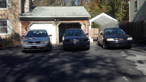 My three baby's