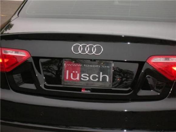 carbon fiber license plate frames