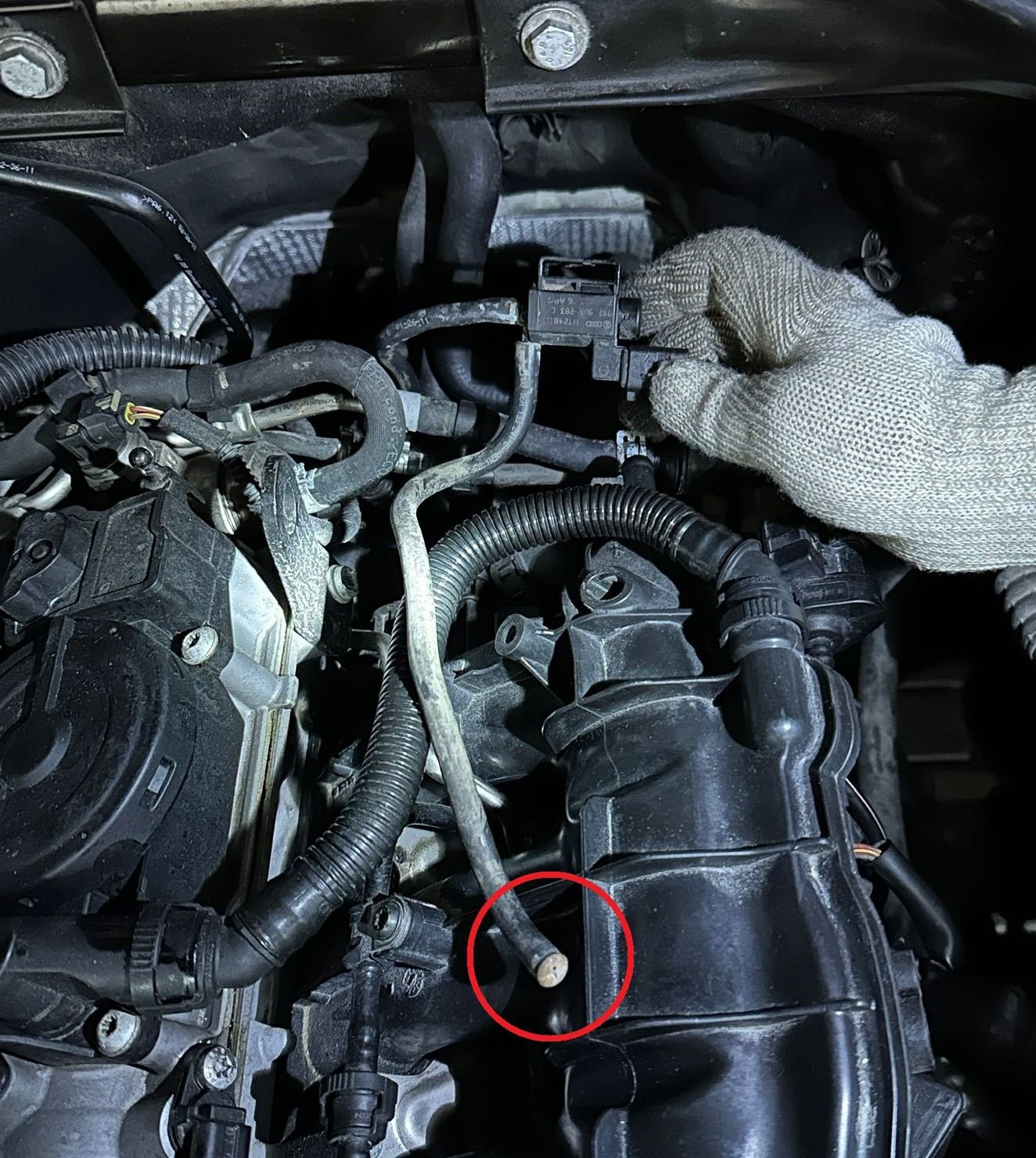 Disconnected vacuum line AudiWorld Forums