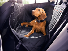 The rear guard protects the rear seats, the side walls and the rear doors of your Audi from dirt. The versatile zipper system allows dogs to enter and exit through the rear doors, while for smaller dogs the rear protection cover can also be used on the half side. Thanks to a durable, water-resistant and washable surface with a coated bottom, the rear protective cover is suitable for protection against dirt. The rear protection cover is equipped with lockable slots for safety belts, whereby the d