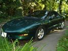 1995 Firebird Trans-Am