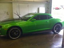 synergy green camaro