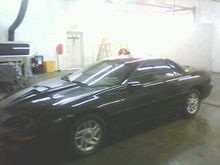 My Rubberburnin Beast