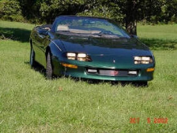 Pastoral Green w/lights