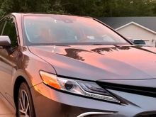 2023 XLE