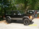 Black Beauty
