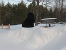 random pics(more to add soon!)