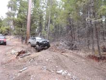 Wild Bill- 3/21/15
