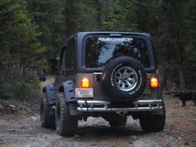 Wild Bill- 3/21/15