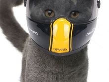 Some prefer full body armor, though....