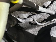 This is another picture of the sludge. 