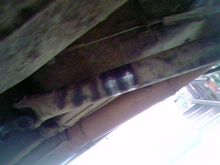 driveline repair made it 1 9/16" longer