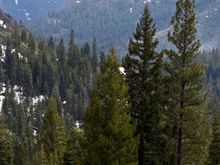 Sierra Buttes