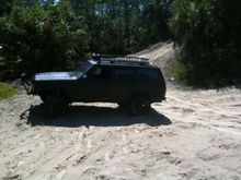 sand and trees...