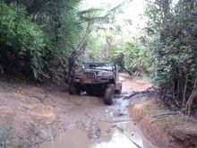 THOMSONS TRACK MAR 08 009[1] The TJ in her element, Oh there's another Mud Hole. Love that Native Kiwi Bush.