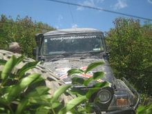 162622 171581382883562 100000951033266 338089 2216213 n[1] TJ, sneaking through the brush,