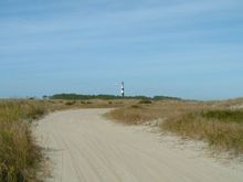 DSCF0229