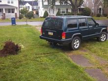 Pulling bushes out in front of my house