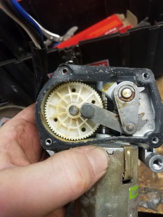 Gear Case