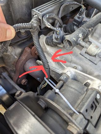 Looking to identify wiring bundle going to fuel rail