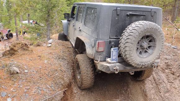 Wild Bill- 3/21/15