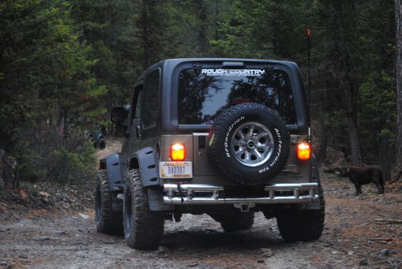 Wild Bill- 3/21/15