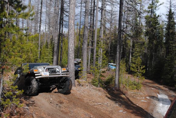 Wild Bill- 3/21/15